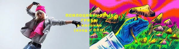 кокс Няндома