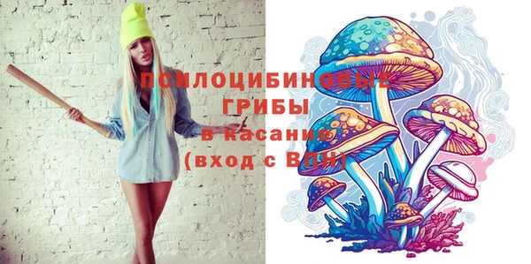 кокс Няндома
