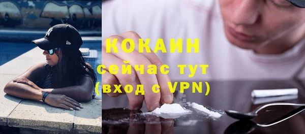 кокс Няндома