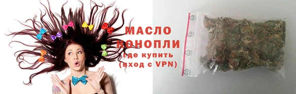 гашик Новозыбков