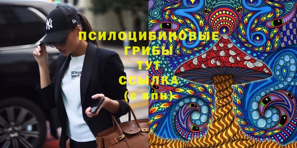 гашик Новозыбков
