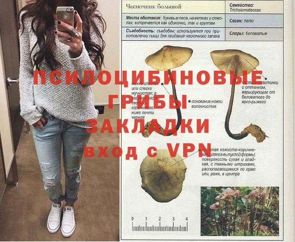 кокс Няндома